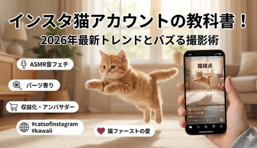 インスタ猫アカウントの教科書！2026年最新トレンドとバズる撮影術